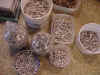 bulkbullets.JPG (82496 bytes)