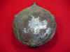 buttercanback.JPG (64939 bytes)