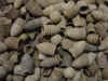 mixedbullets.JPG (33975 bytes)